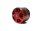 Torcster Brushless Red L6360/10-240 600g